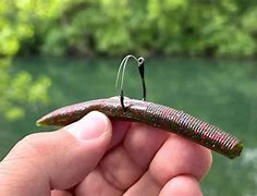 Image result for Weighted Saltwater Hooks