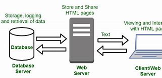 Image result for Dynamic Web Page