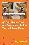 Image result for 9GAG Dog Meme