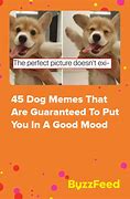 Image result for Cute Dog Memes