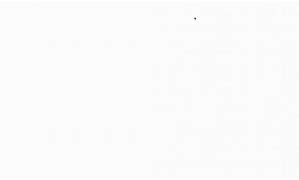 Image result for White Blank Screen