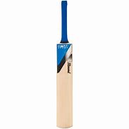 Image result for Cricket Bat Ball