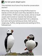 Image result for Cute Puffin Memes