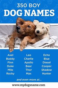 Image result for Cutest Boy Dog Names