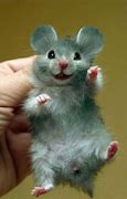 Image result for Smile Cute Funny Mouse