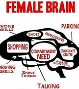 Image result for Woman's Brain Meme