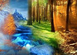 Image result for 4 Seasons in One Picture