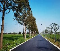 Image result for 乡村 道路