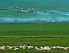 Image result for Qinghai Province