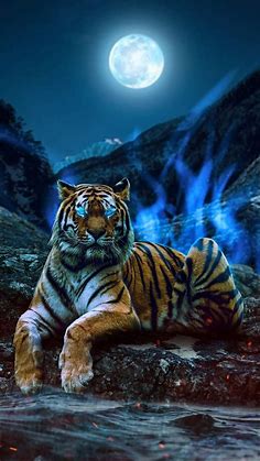 Top 152+ Blue tiger wallpaper hd download - Thejungledrummer.com