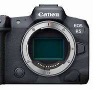 Image result for Canon EOS R5 Sensor