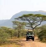 Image result for Kilimanjaro National Park, Tanzania