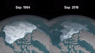 Image result for Artic 1990 vs 2020