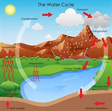 Image result for Illustration of Water Cycle