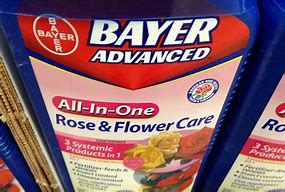 Image result for Bayer Brands