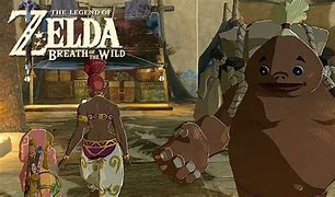Image result for Loz BOTW Bazzare