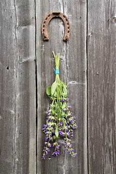 fiori a palla viola palla viola dei fiori della primavera e di cristallo fiori a palla viola palla viola dei fiori della primavera e di cristallo