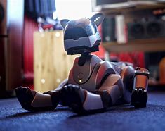 Image result for Aibo Different Colors