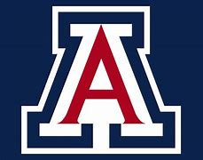 Image result for U of Arizona Colors