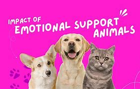 Image result for And You Want to Be My Emotional Support Animal by Stahler