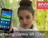 Image result for Samsung Galaxy S Duos Display Schematic