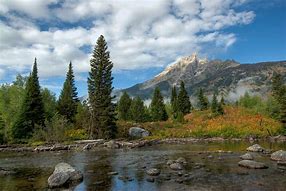 Image result for United States National Parks