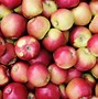 Image result for Autumn Apple-Picking