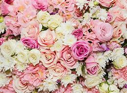 Image result for Elegant Pastel Floral Backgrounds