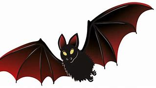 Image result for Vampire Bat Flying PNG