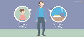 Image result for Short and Long-Term Memory Cartoon