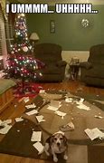 Image result for Xmas Funny Dogs