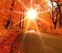 Image result for Fall Sunrise Wallpaper