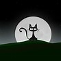 Image result for Weird Space Cat Wallpaper