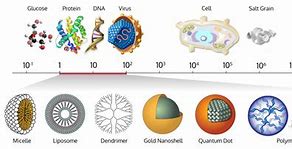 Image result for Natural Nanoparticles