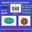 Image result for Grade 10 Life Science Examination Scope