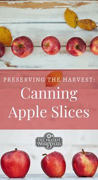 Image result for Canning Apple Slices