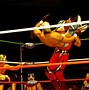 Image result for Arena Mexico
