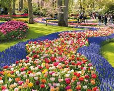 Image result for Spring Fields of Europe