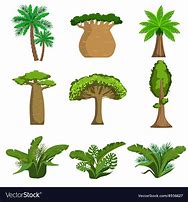 Image result for Jungle Tree SVG
