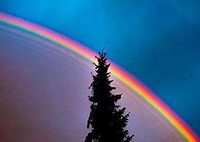 Image result for Rainbow Fan Art