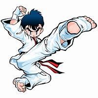 Image result for Martial Arts