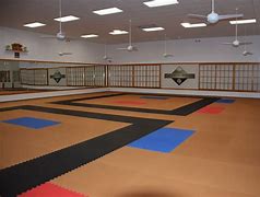 Image result for Karate Dojo