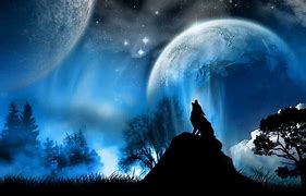 Image result for Anime Dark Wolf Galaxy