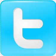 Image result for Twitter Logo Button