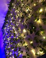 Image result for Vines with Lights