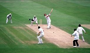 Image result for Cricket Project Class 11