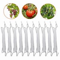 Image result for Tomato Clamps