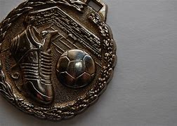 Image result for Torfaen Dolphins Medals