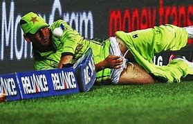 Image result for Cricket Funny in Out