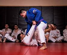 Image result for Jiu Jitsu vs Brazilian Jiu Jitsu Difference
